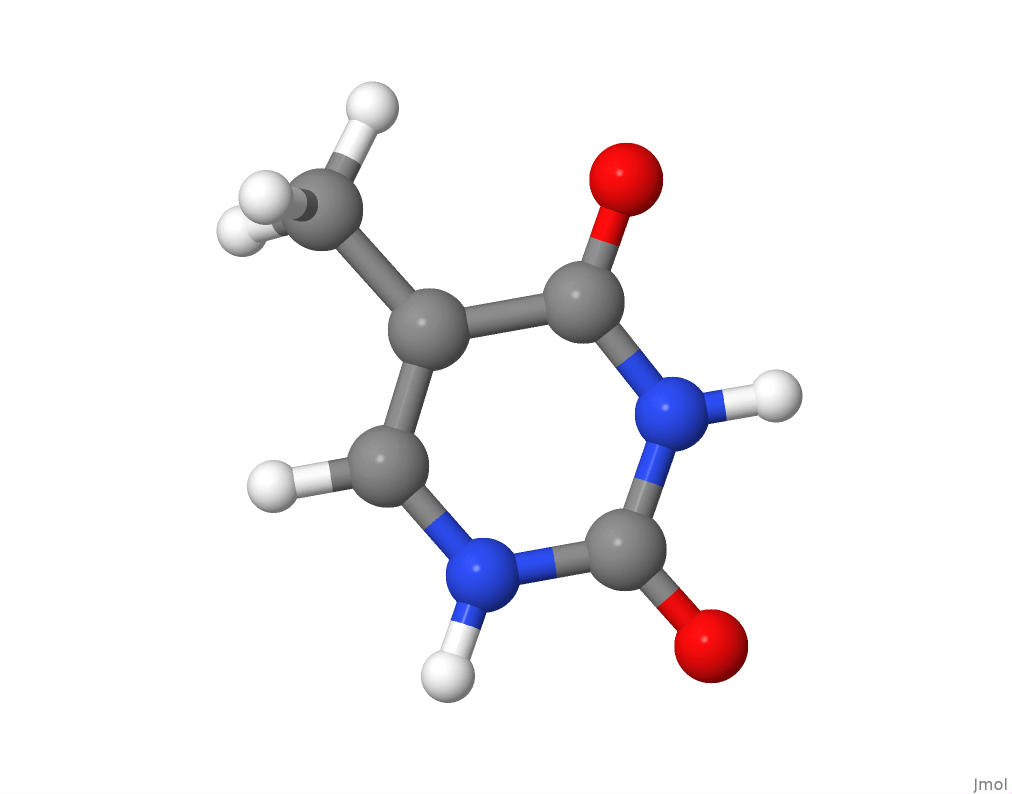 The molecular structure of thymine.